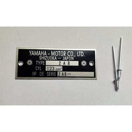 125 DTMX - 2A8 yamaha frame plate